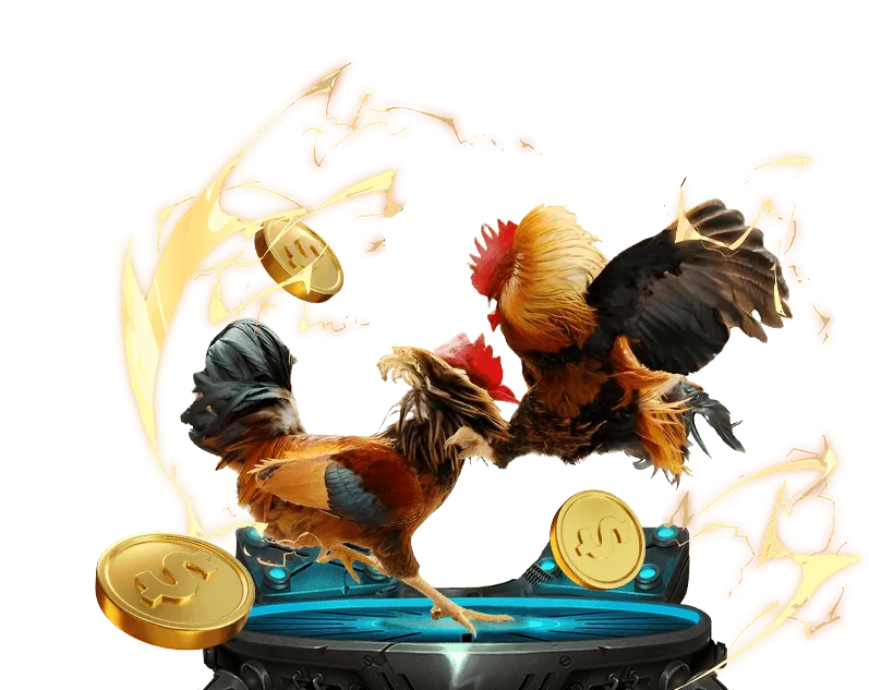 Tuân thủ quy định và giấy phép fb68